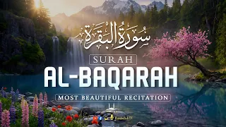 SURAH AL-BAQARAH - سورة البقره | BEAUTIFUL CALMING RECITATION TO SOOTHE YOUR HEART | Habibullah TV