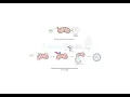 Download Lagu Mitophagy Cellular Process, Health, and Disease
