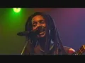 Julian Marley  " Build Together "  Live Africa Festival (2011)
