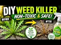 BEST Non-Toxic Weed Killer Safe for Animals and Kids DIY Best Way to Kill Weeds