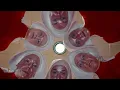 Download Lagu Trust The Legehness Music Video (2025)
