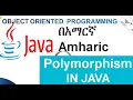 Polymorphism in java with example Amharic