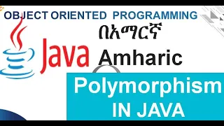 Polymorphism in java with example Amharic