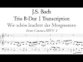 Lagu Bach - Trio B-Dur (Cantata Transcription) 'Wie schön leuchtet der Morgenstern', BWV 1 - Hauptwerk