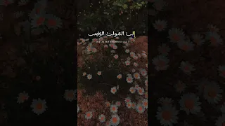 س لمي ي ا نفس في ح كم القض ا يوسف الأيوب 