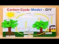 carbon cycle model co2 cycle model diy class 12 science exhibition howtofunda