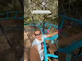 POV You ve Spent the Past 2 Years Building a Backyard Rollercoaster