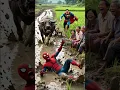 Download Lagu 💥 Evolution of Avengers 💝Avengers Evolution #marvel #spiderman #avengers #shorts #viral #short