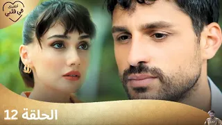 مسلسل أخفيتك فى قلبي الحلقة 12 مراجعة 