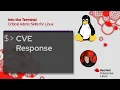 Managing a CVE Response for Linux Into the Terminal 192