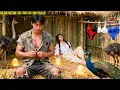 Download Lagu Pengemis Kena Obat Cinta Diselamatkan Gadis Desa, 30 Tahun Kemudian Jadi CEO Kaya Raya Cari Dia!
