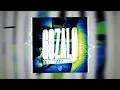 GOZALO - ARIIS