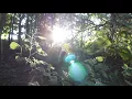 Nature Algorithm of hidden rules of world