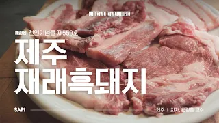 소고기 육색과 마블링의 '진짜' 오리지널 흑돼지 | 로컬콜링 EP.03 제주 재래흑돼지 w/문정훈 교수
