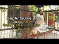 Download Lagu Suara Burung Kutilang Gacor ASLI Tanpa isian, Ampuh untuk Pikat Kutilang bikin kutilang Ribut gacor