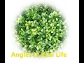 Angles in real life MrBMaths com