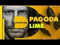 UTAH M.PAUL - PAGODA LIME (FEB 2024)