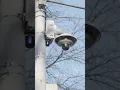 How many cameras are actually watching you in Atlanta