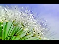 Download Lagu Beautiful Relaxing Music (PIANO) #8 | Finn - Smile Again