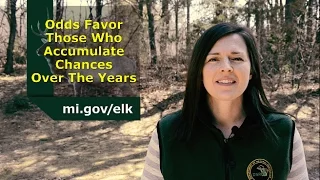 MI Elk Weighted Lottery System Explained