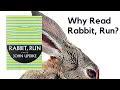 Why Read Rabbit Run Review Analysis