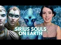 SIRIUS STARSEEDS traits sirius beings