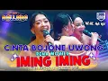 Download Lagu Iming - Iming (Cinta Bojone Uwong He He Ha Ha) - Rena Movies - New Pallapa Live TPI Juwana Bajomulyo