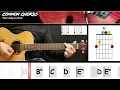 The Lady In Red - Chris de Burgh | EASY GUITAR LESSON | Scrolling Chords & Lyrics
