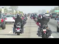 bule bule - rockin devils