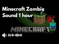 Minecraft zombie sound 1 hour (2021)