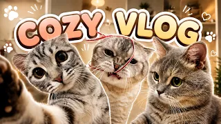 CUTE CATS & COZY VLOG! Funny Cats Kuma & Yuki ₍^. .^₎⟆ Fluffy Games with Little Kitten Ep. 57