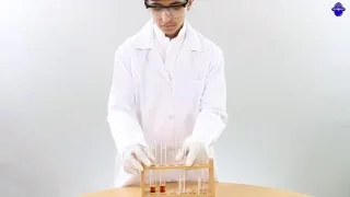 تجربة الكشف عن النشا 