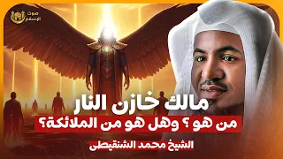 الشيخ محمد الشنقيطي مالك خازن النار من هو وهل هو من الملائكة  الشيخ محمد الشنقيطي مالك خازن النار من هو وهل هو من الملائكة