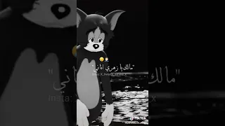 أغنية حزينة بإسم لعمري بكيت لشفت دموعي 
