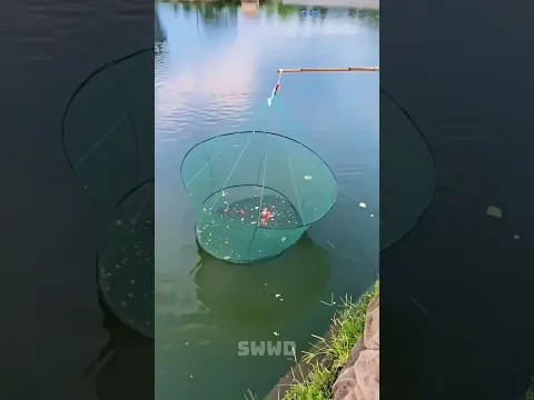 20 Years Of This Crazy Fishing Trick🐟🍉#cattiktok #catlovers#cat#cute #funnycats#catcartoon