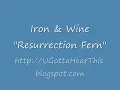 Iron & Wine - Resurrection Fern