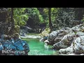 Download Lagu Suara Air Sungai dan Burung Kecil di Alam Liar