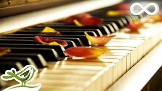 Relaxing Piano Music Sleep Music Meditation Music Soothing Music Calming Music 77 