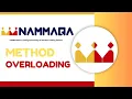 METHOD OVERLOADING
