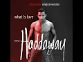 What Is Love (Alternative Original 12" Mix)