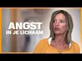Lagu Wat doet angst met je lichaam?