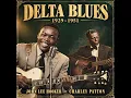 John Lee Hooker × Charley Patton (1929–1951) — From the Delta to Detroit | Raw Boogie Blues