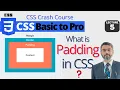 What is Padding in CSS How to use CSS padding property CSS Crash Course 2022
