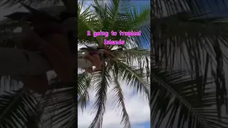 5 reasons why I love living on a boat