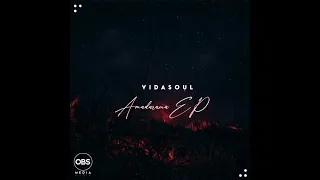 vida soul feat h t rhythmic amukele original mix 