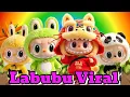Download Lagu LABUBU SENAM - LAGU ANAK TERBARU - LAGU ANAK INDONESIA - EDUKASI ANAK