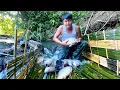 Download Lagu A Day of Officer Trieu Kang Fishing and an Unexpected Ending.
