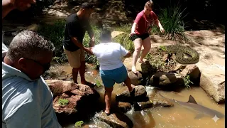 ENCONTRAMOS UMA COBRA NO CAMINHO