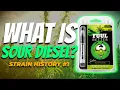 What is Sour Diesel Good For Strain Review 1