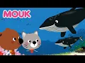 Download Lagu Mouk : Rencontre Magique avec une Baleine 🐳🌊